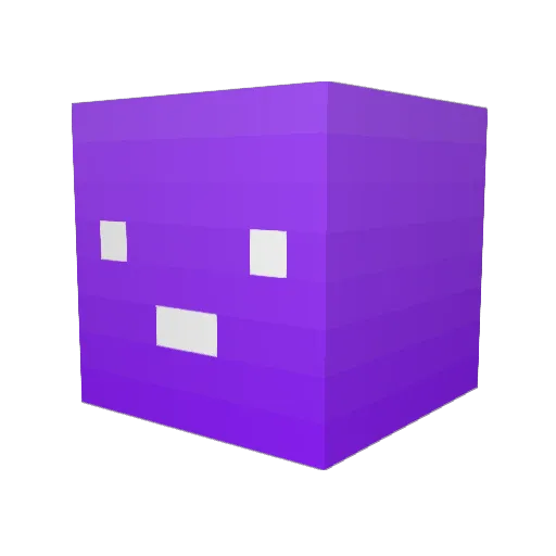 Zoo_T_T Minecraft avatar head, 3D render