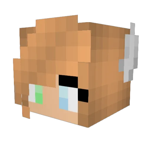 Zoobee2011 Minecraft avatar head, 3D render