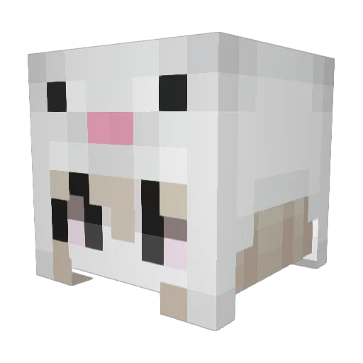 Zoochee Minecraft avatar head, 3D render
