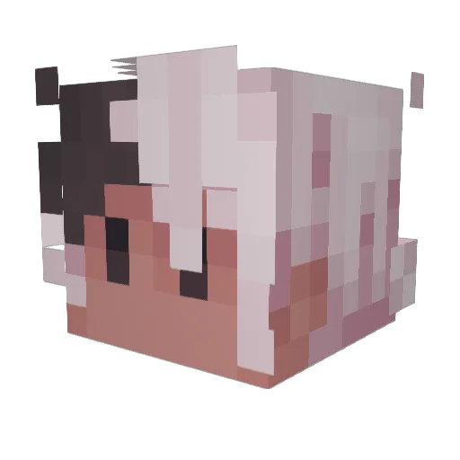 Zoochotics Minecraft avatar head, 3D render