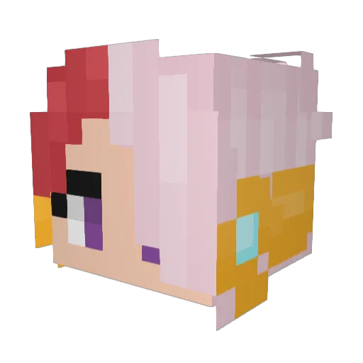 ZoodlePoodle Minecraft avatar head, 3D render