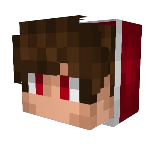 Zoodox Minecraft avatar head, 3D render