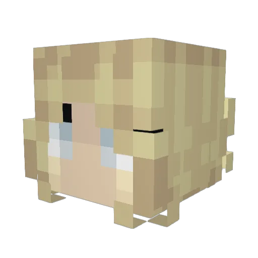 Zooget Minecraft avatar head, 3D render