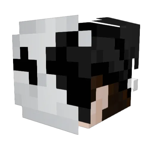Zookigan Minecraft avatar head, 3D render