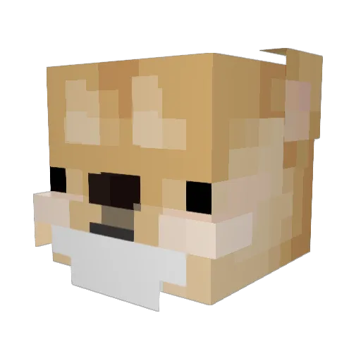 Zookolion Minecraft avatar head, 3D render