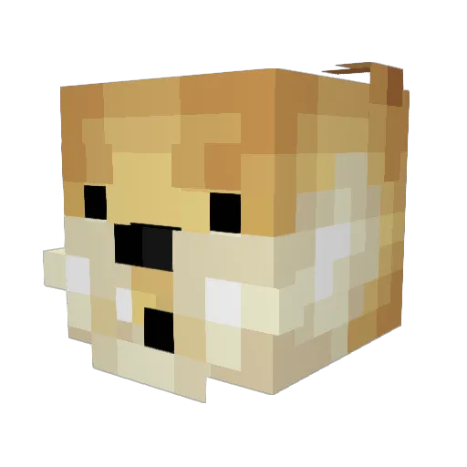 Zoom_Fiscon Minecraft avatar head, 3D render