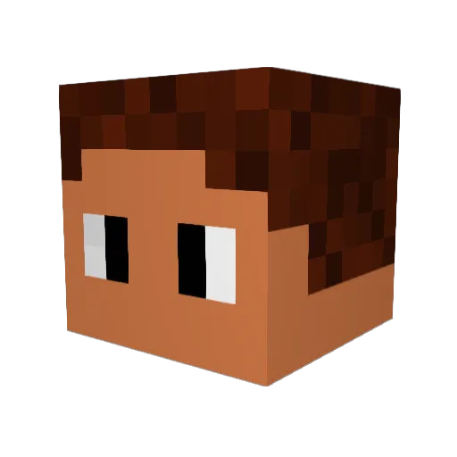 Zoomer313 Minecraft avatar head, 3D render