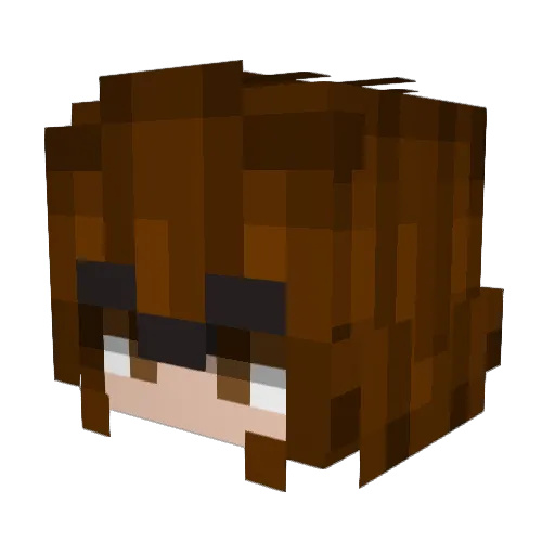 Zoomey03 Minecraft avatar head, 3D render