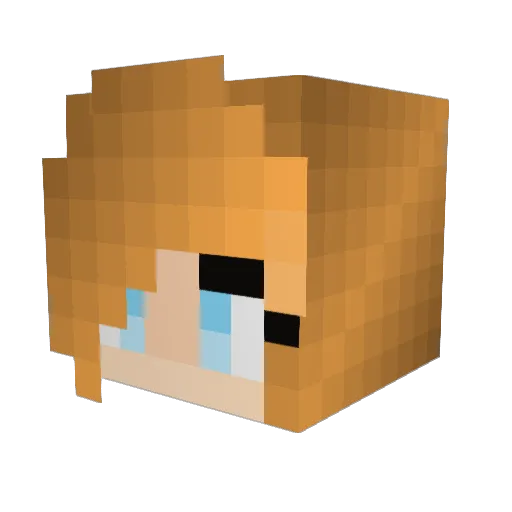 Zoomie25 Minecraft avatar head, 3D render