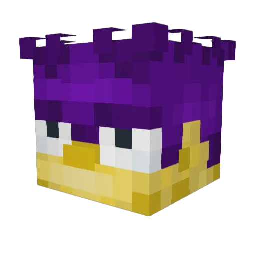 Zoompz Minecraft avatar head, 3D render