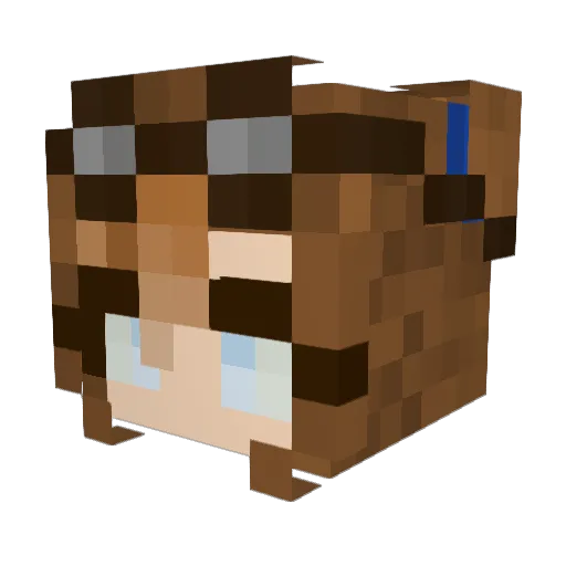 Zoomytoast Minecraft avatar head, 3D render