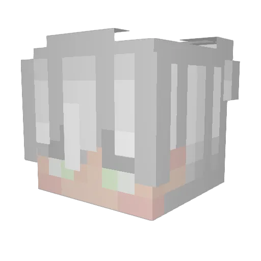 Zoomz99 Minecraft avatar head, 3D render