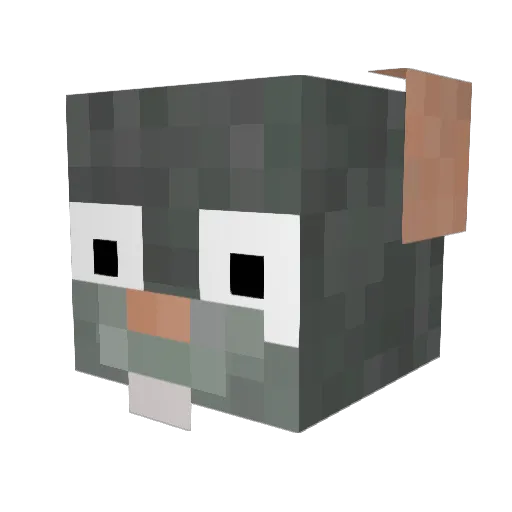 Zoomzoom0915 Minecraft avatar head, 3D render