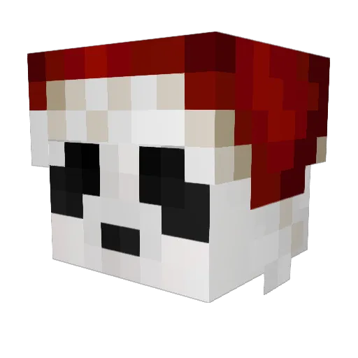 ZoonixX Minecraft avatar head, 3D render