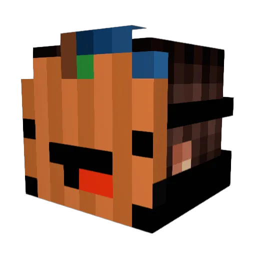 Zoonniixx Minecraft avatar head, 3D render