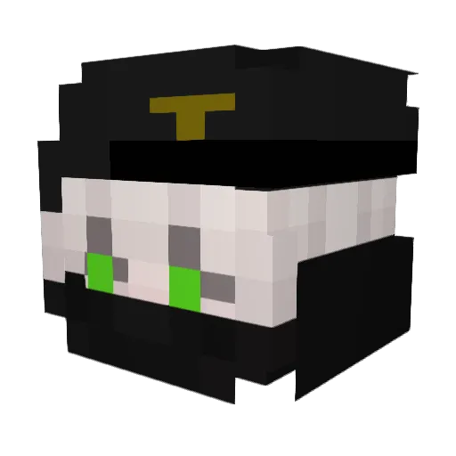 ZoontGab Minecraft avatar head, 3D render