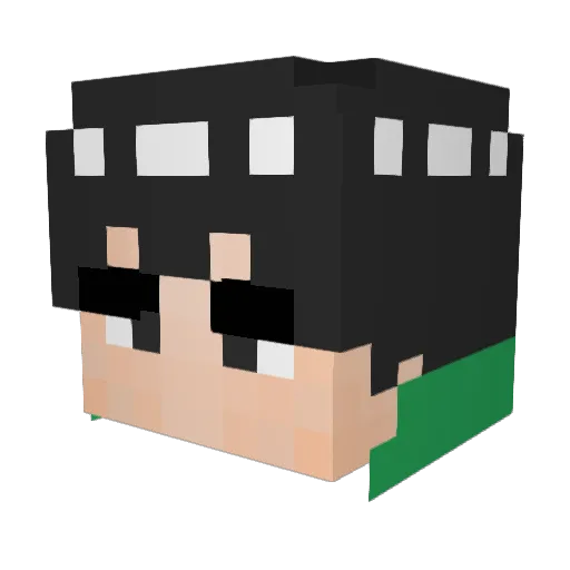 Zoooch Minecraft avatar head, 3D render