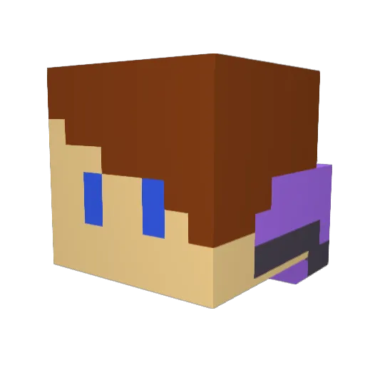Zoooo35 Minecraft avatar head, 3D render