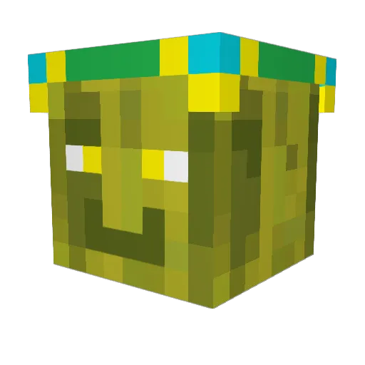 Zoopy909 Minecraft avatar head, 3D render
