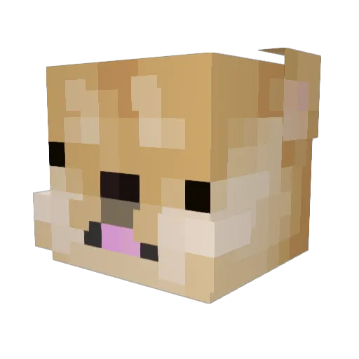 ZoopyDoopy Minecraft avatar head, 3D render