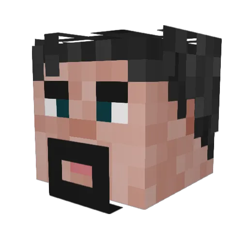Zootcan Minecraft avatar head, 3D render