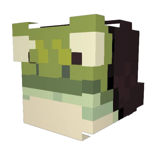 ZootsLaffliction Minecraft avatar head, 3D render