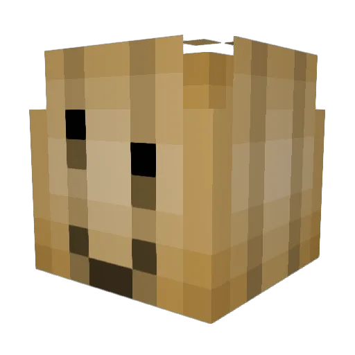 ZoozyTime Minecraft avatar head, 3D render