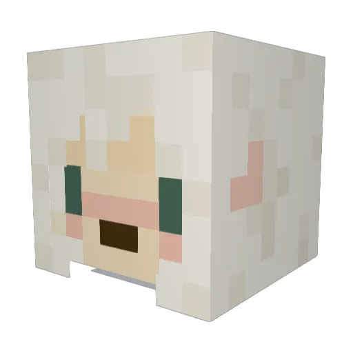 Zop9055 Minecraft avatar head, 3D render