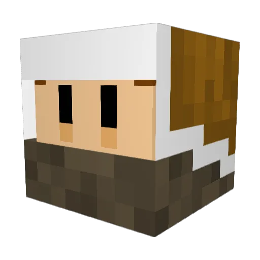ZopperMan Minecraft avatar head, 3D render