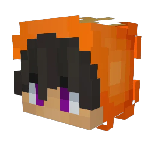 Zopylix Minecraft avatar head, 3D render