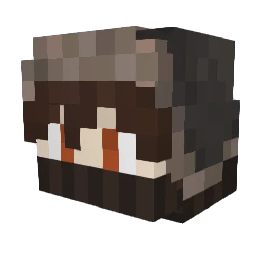 ZorFer_MC Minecraft avatar head, 3D render
