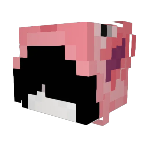 Zora9 Minecraft avatar head, 3D render