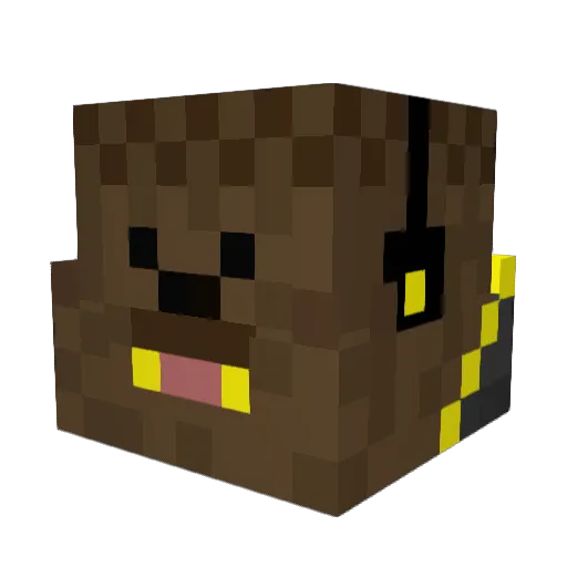 Zoran05 Minecraft avatar head, 3D render