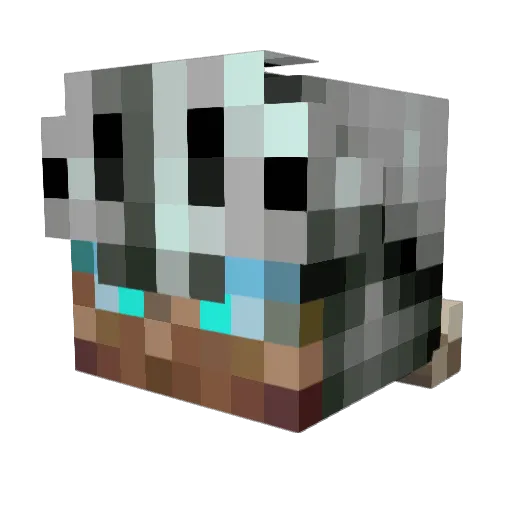Zorasuhl Minecraft avatar head, 3D render