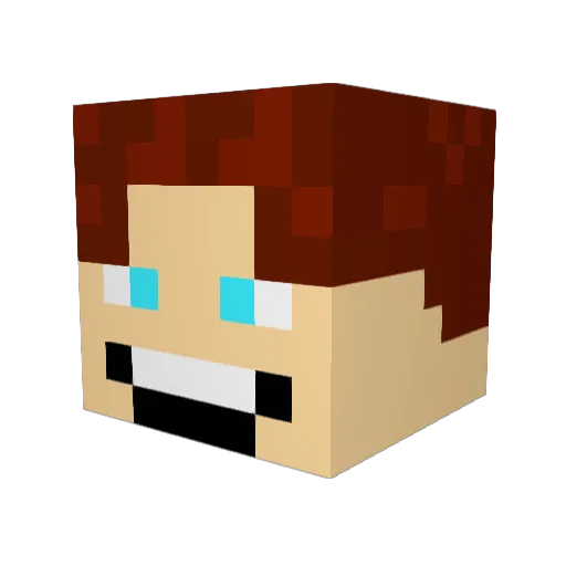 Zorbei2004 Minecraft avatar head, 3D render