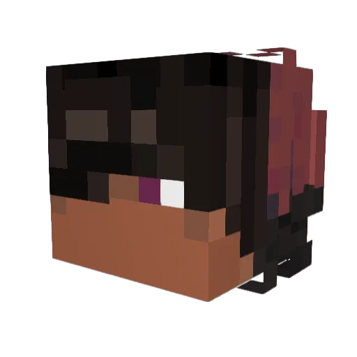 Zorbrain Minecraft avatar head, 3D render