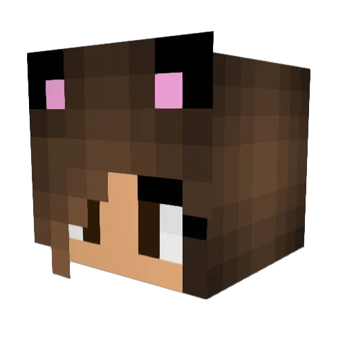 Zorgazor Minecraft avatar head, 3D render