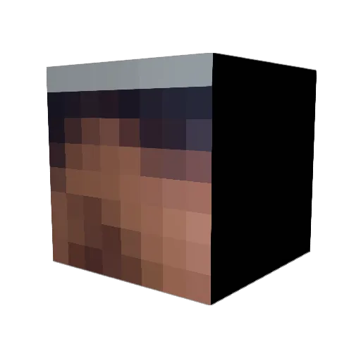 Zorgon19 Minecraft avatar head, 3D render