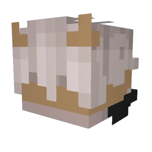 Zoritectra Minecraft avatar head, 3D render