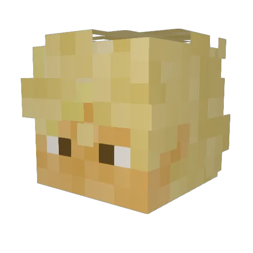 Zoro91159 Minecraft avatar head, 3D render