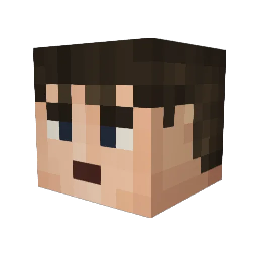 Zoromiojo Minecraft avatar head, 3D render