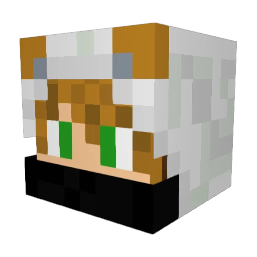 Zoronian11 Minecraft avatar head, 3D render