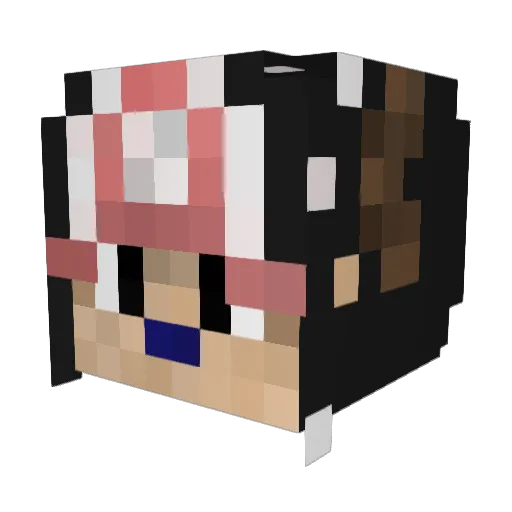 ZorrLe_BG Minecraft avatar head, 3D render