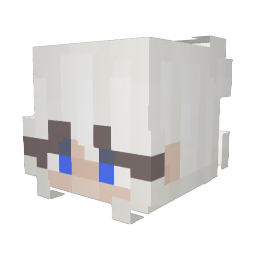 ZorraLvl100 Minecraft avatar head, 3D render