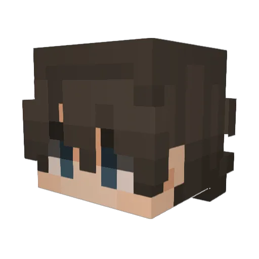 Zorrix_pro Minecraft avatar head, 3D render