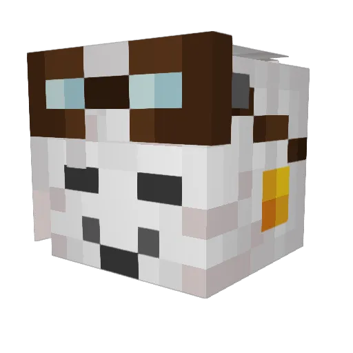 Zorshy Minecraft avatar head, 3D render