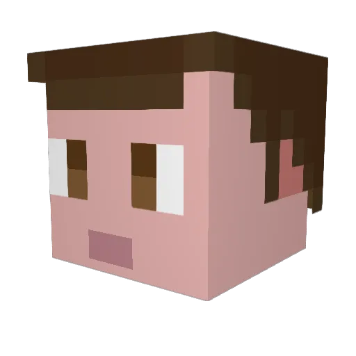ZorteTheCat Minecraft avatar head, 3D render