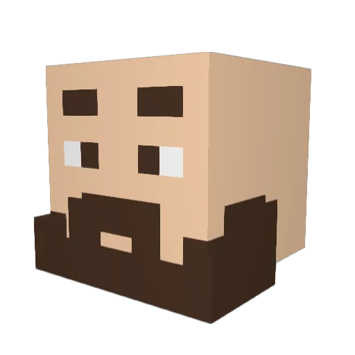 Zoruax_YT Minecraft avatar head, 3D render