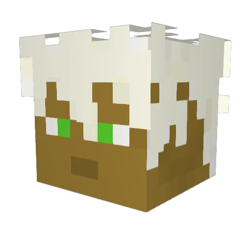 Zorujo Minecraft avatar head, 3D render