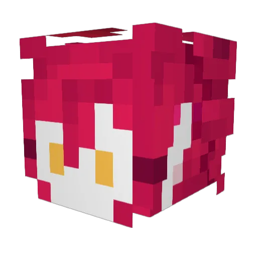 Zoruloya Minecraft avatar head, 3D render